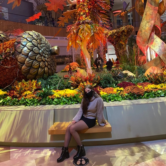 Meet your Posher, Sara - Picture 1 of 3